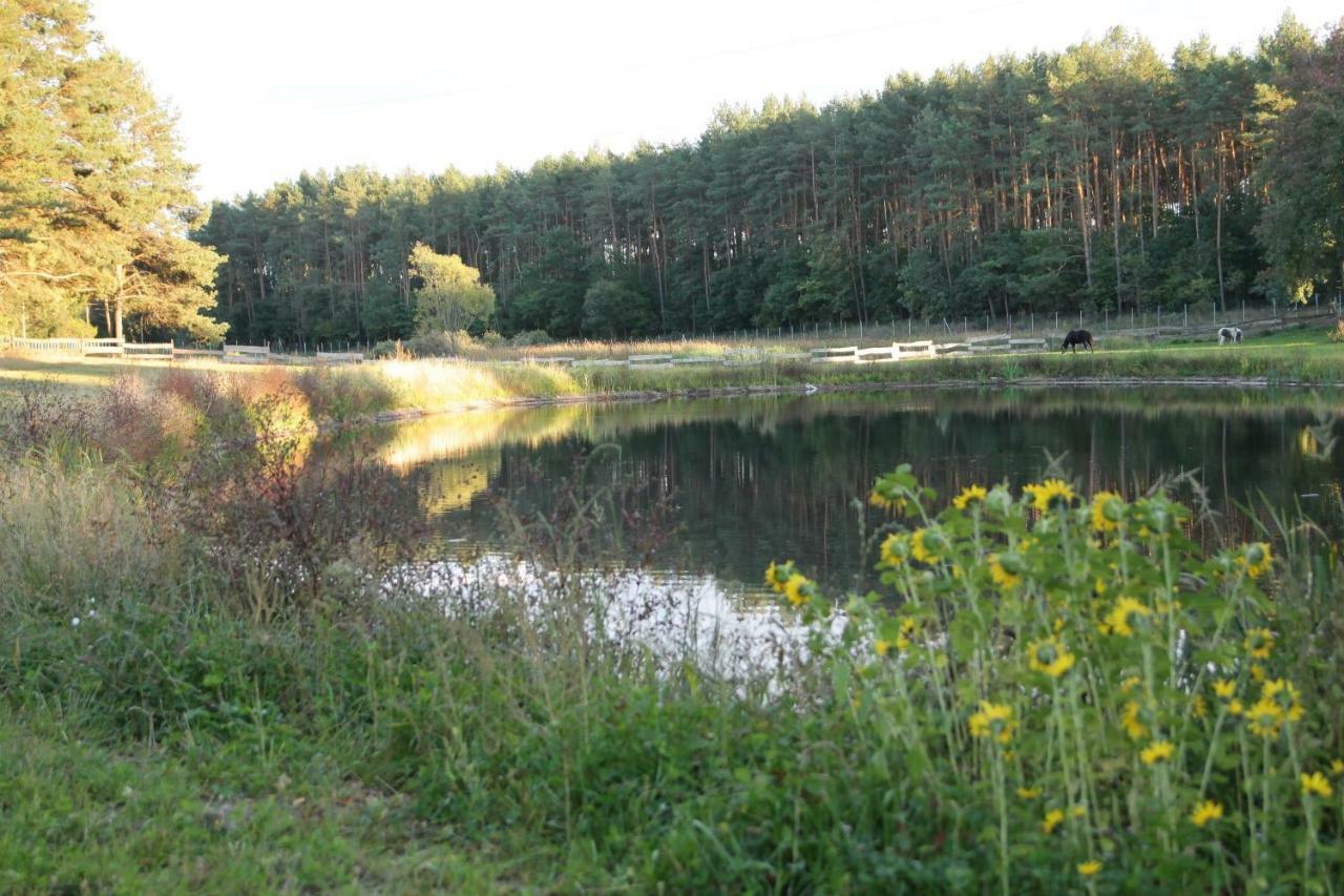 Quatro Osrodek Jezdziecki - Gospodarstwo Agroturystyczne Pobiedziska Bagian luar foto