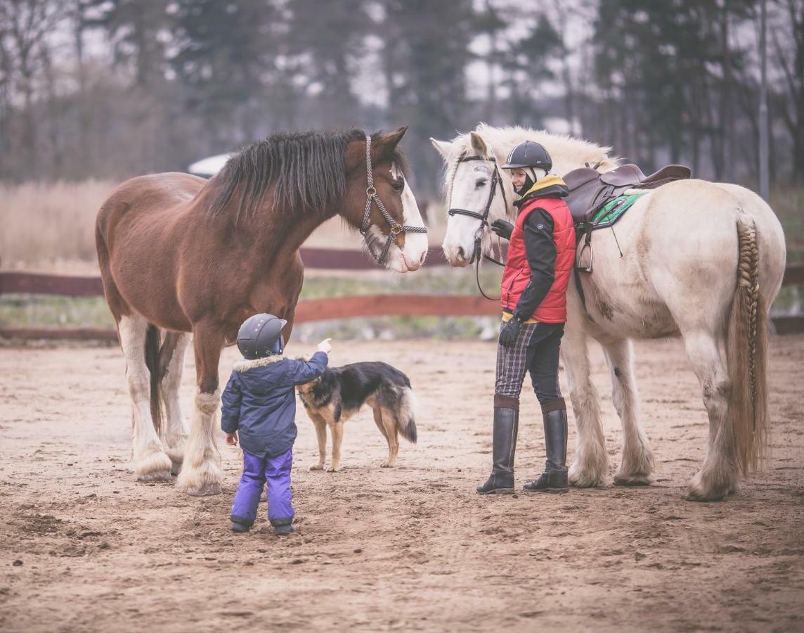 Quatro Osrodek Jezdziecki - Gospodarstwo Agroturystyczne Pobiedziska Bagian luar foto
