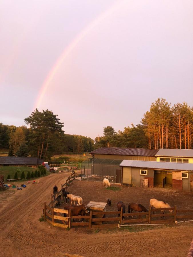 Quatro Osrodek Jezdziecki - Gospodarstwo Agroturystyczne Pobiedziska Bagian luar foto