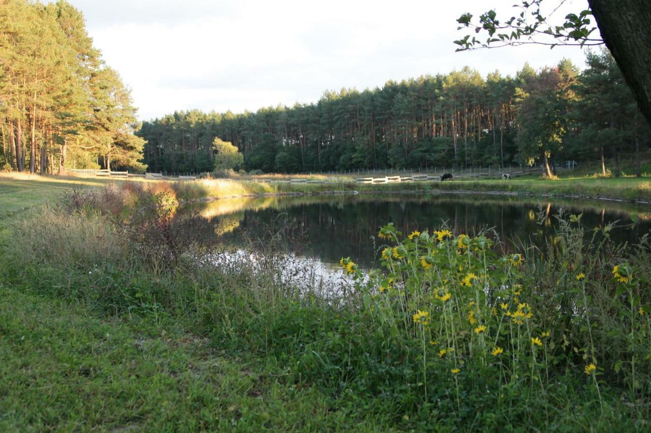 Quatro Osrodek Jezdziecki - Gospodarstwo Agroturystyczne Pobiedziska Bagian luar foto